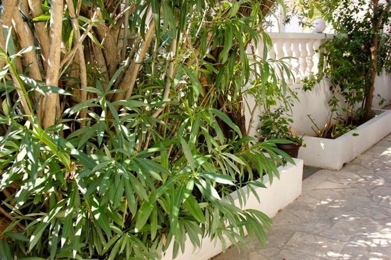 Apartments Jasmin Trogir Ngoại thất bức ảnh